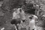 dig95-14.jpg