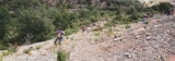 cévennes97-48.jpg