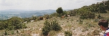 cévennes97-50.jpg